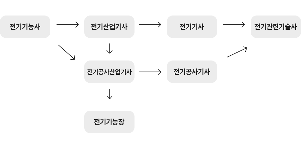 자격증 관계도